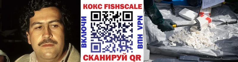 наркотики  дарк нет телеграм  COCAIN Fish Scale  Бакал 