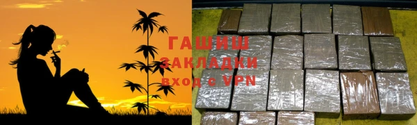 шишки Нестеровская