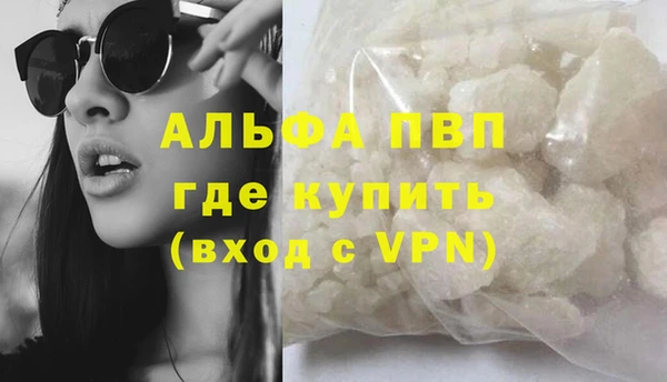 шишки Нестеровская