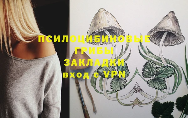 синтетический гашиш Весьегонск