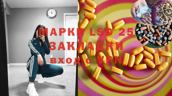 apvp Калининец