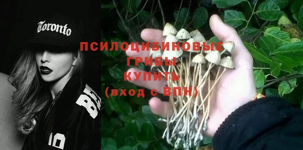 apvp Калининец