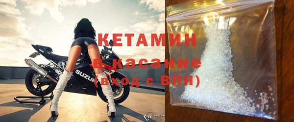 шишки Нестеровская