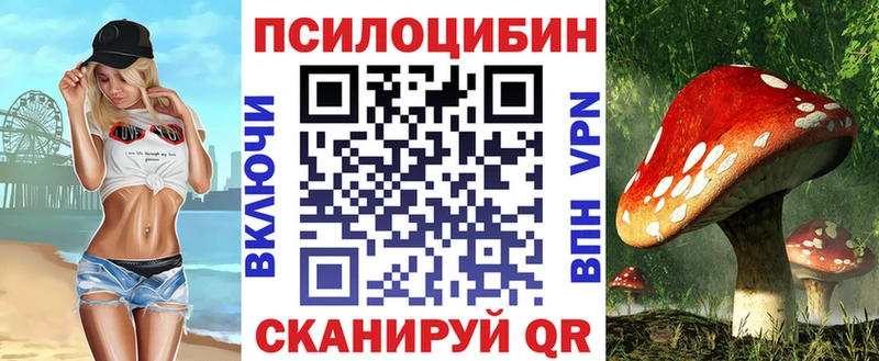 как найти закладки  Бакал  Псилоцибиновые грибы MAGIC MUSHROOMS 